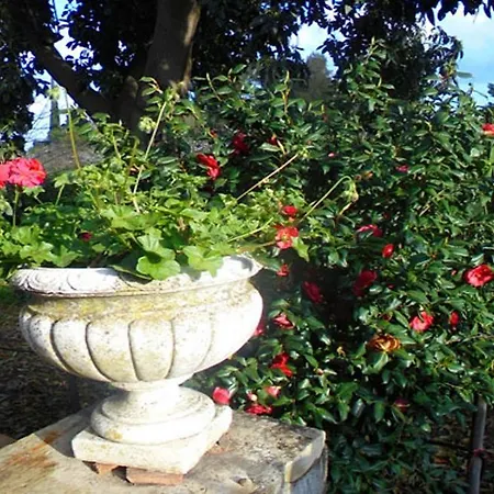 Baglio Delle Rose Bed & Breakfast 3*