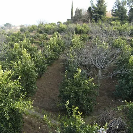 Baglio Delle Rose Bed & Breakfast 3*