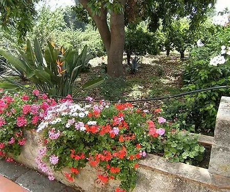 Baglio Delle Rose Giarre