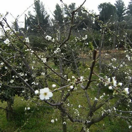 Baglio Delle Rose 3* 기아레