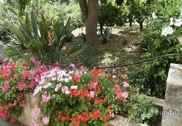 Bed & Breakfast Baglio Delle Rose Giarre