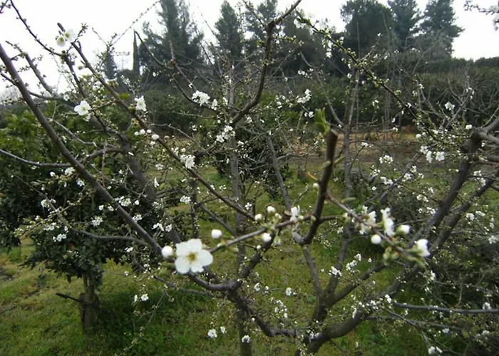 Baglio Delle Rose 3* Джарре