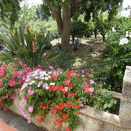 Bed & Breakfast Baglio Delle Rose 3*