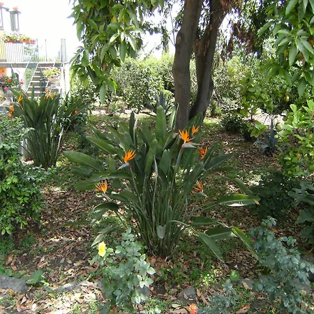Bed & Breakfast Baglio Delle Rose Giarre