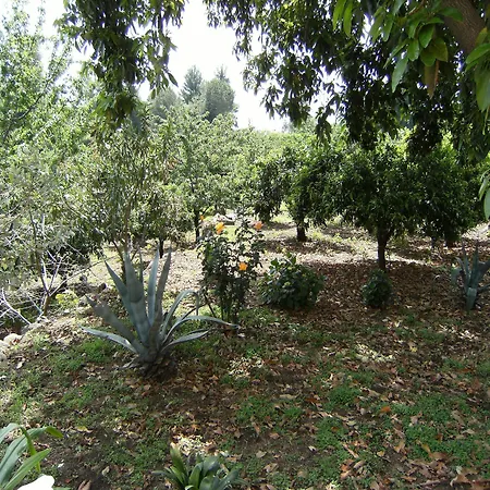 Bed & Breakfast Baglio Delle Rose Giarre