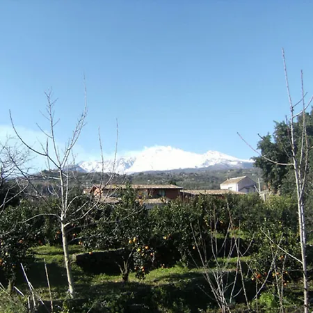 Baglio Delle Rose Bed & Breakfast 3*