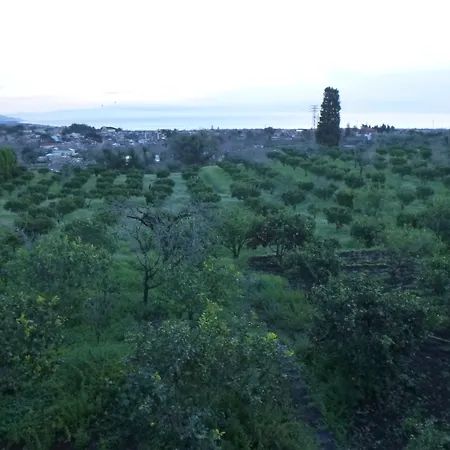 Baglio Delle Rose Bed & Breakfast